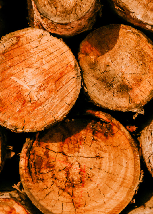 Warm Vanilla Sandalwood— Wax Melt