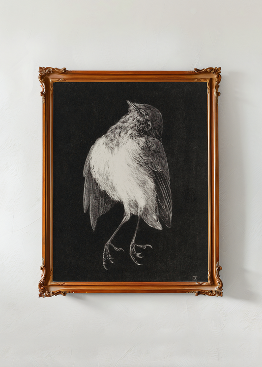Dead Robin— Digital Art Print