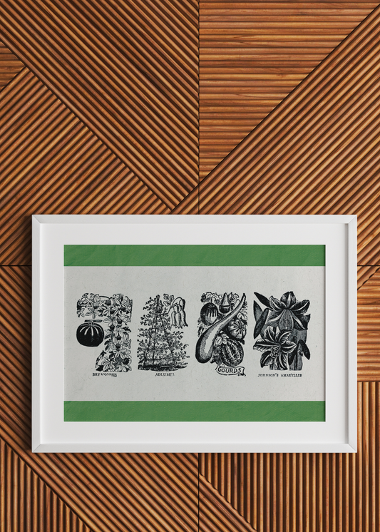 Vintage Plant and Veggie Illustration— Digital Art Print