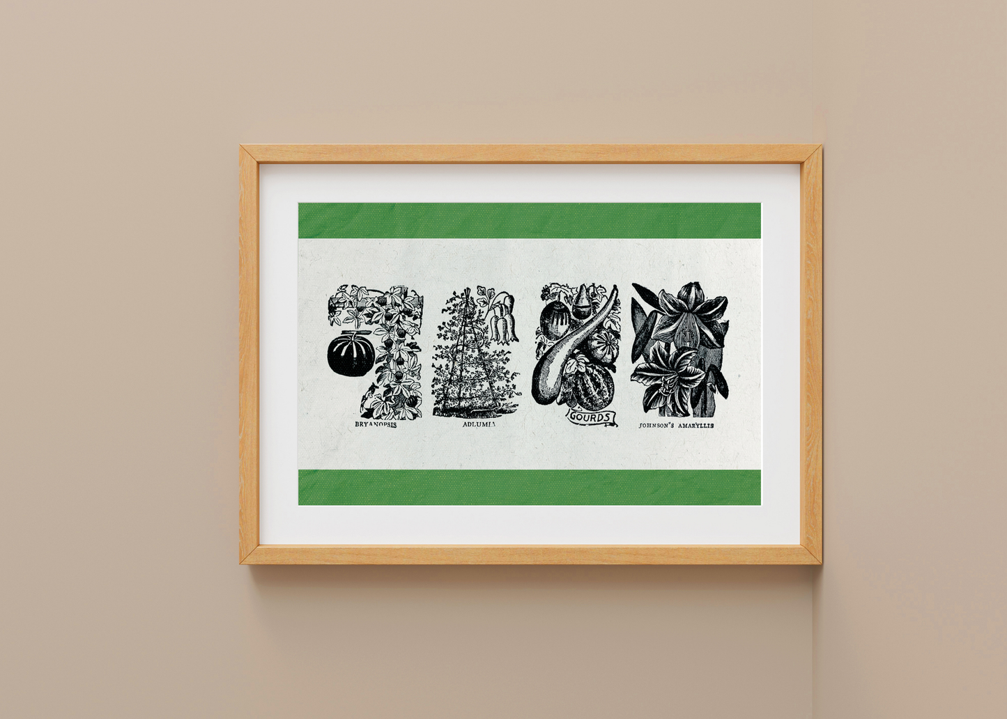 Vintage Plant and Veggie Illustration— Digital Art Print