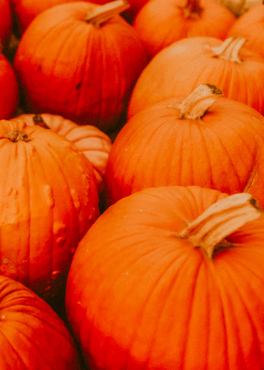 Spiced Pumpkin Souffle— Wax Melt