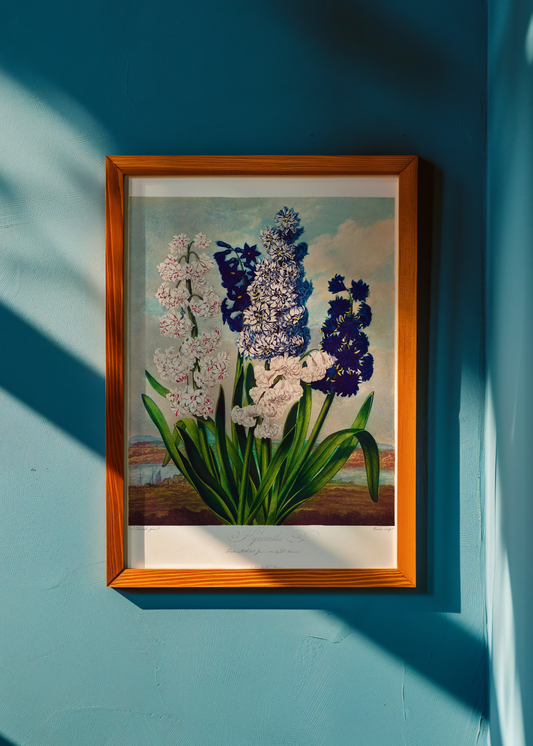 Hyacinths — Digital Art Print